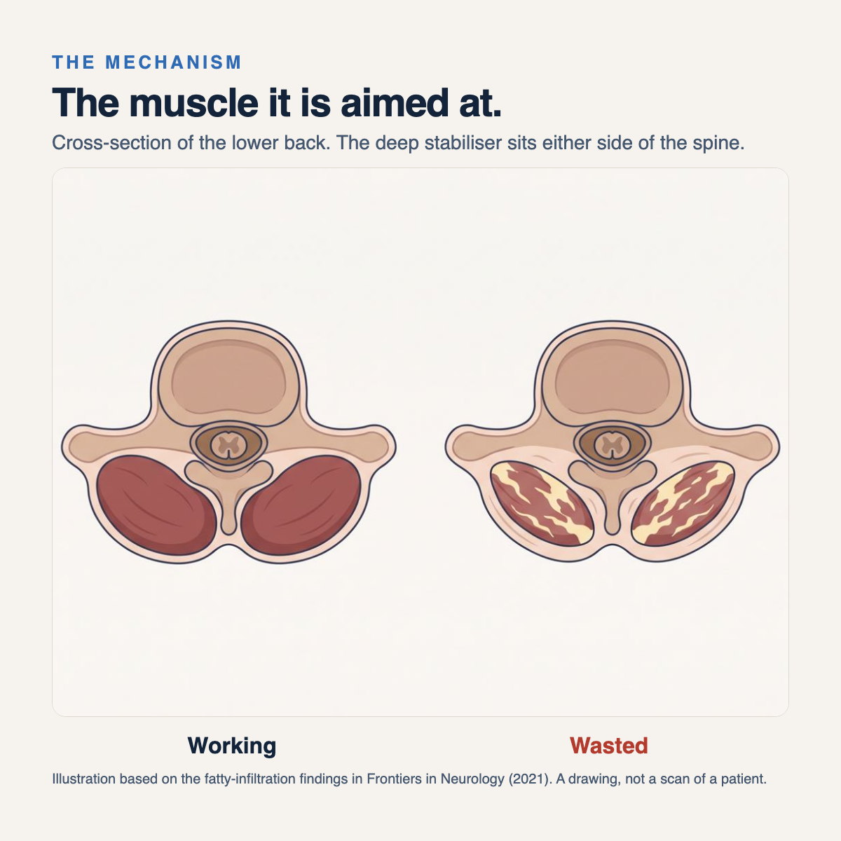 EpticLabs Deep Core System — image 9 of 12